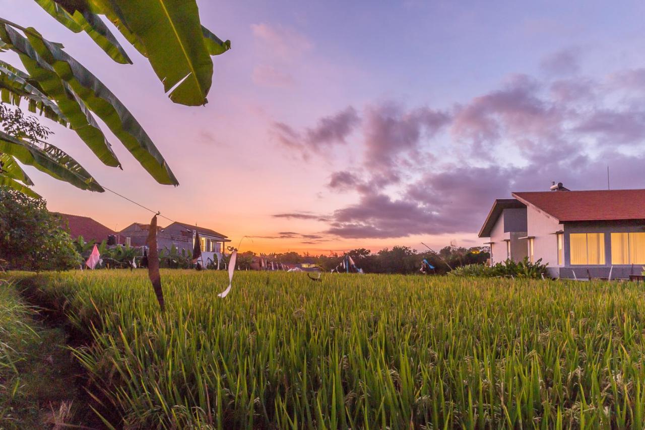 Charming Ricefield view 3 bedrooms villa Canggu Buitenkant foto
